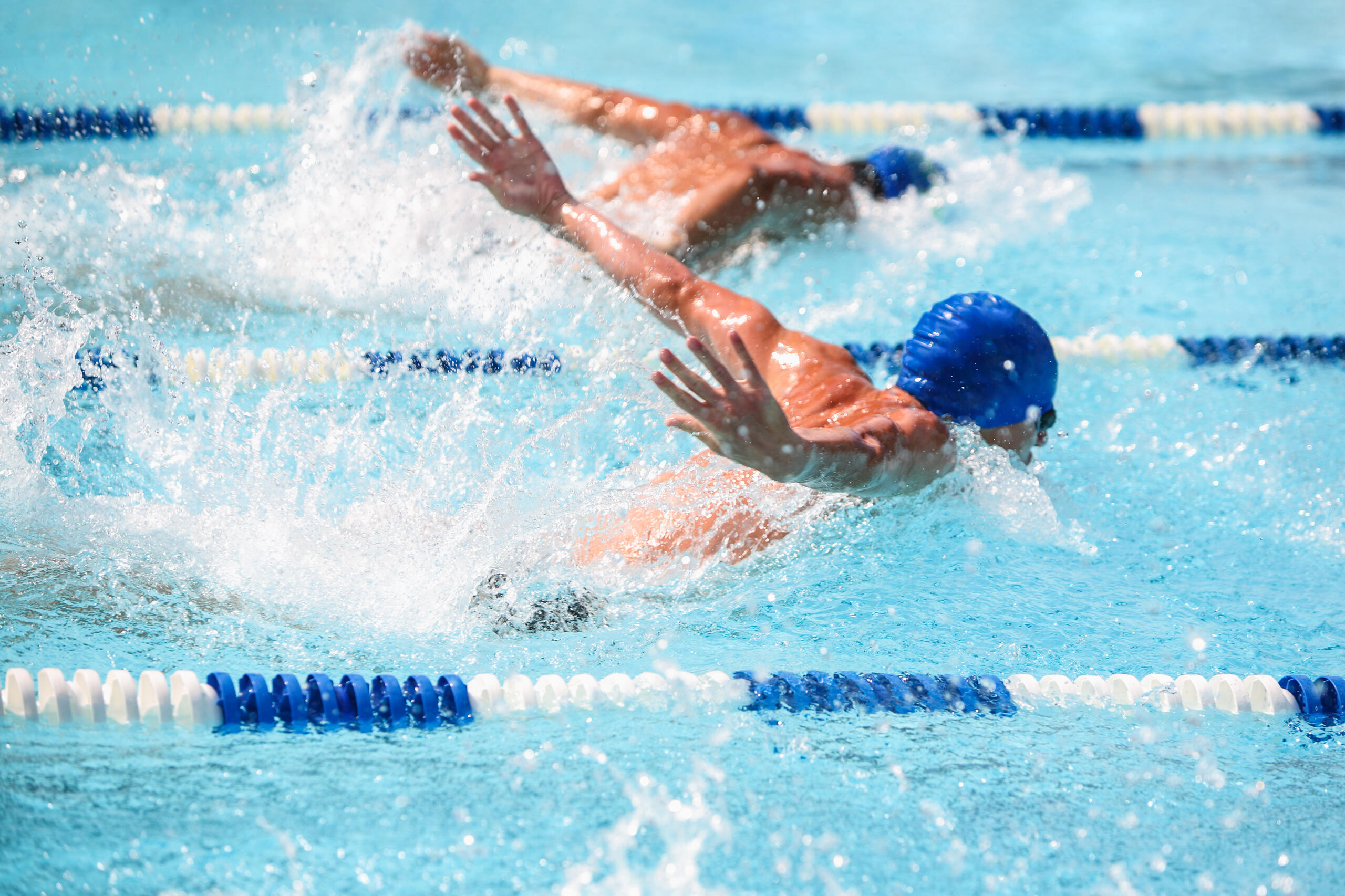 competitive swimmer swimming butterfly